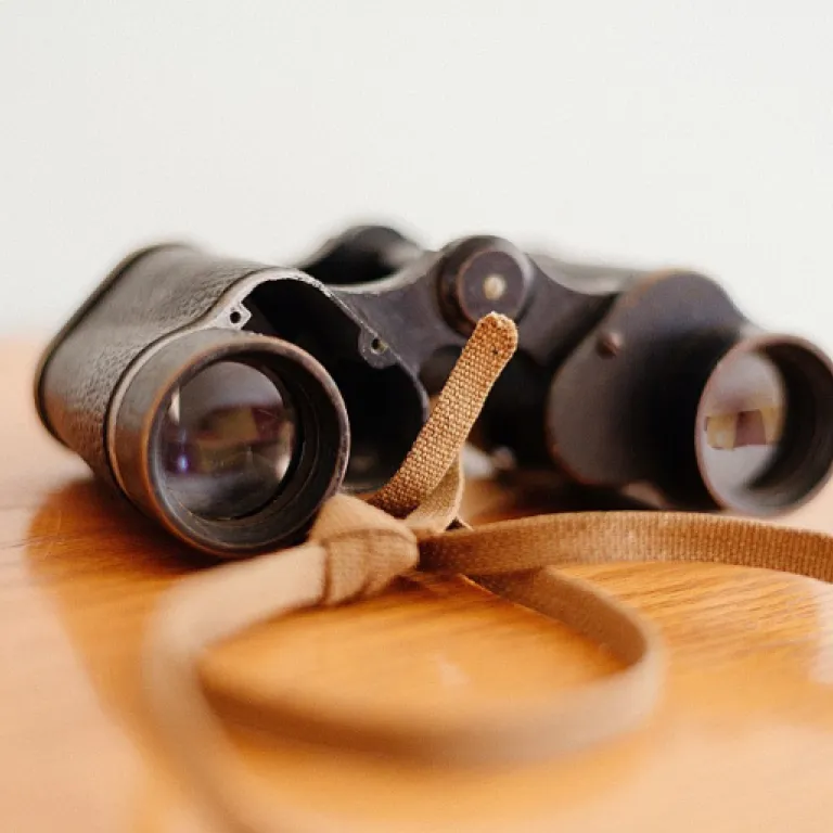 Comment réussir le pilotage digital fr pour stimuler l’innovation