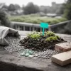 Pourquoi l’innovation territoriale durable devient un enjeu stratégique pour le CINO